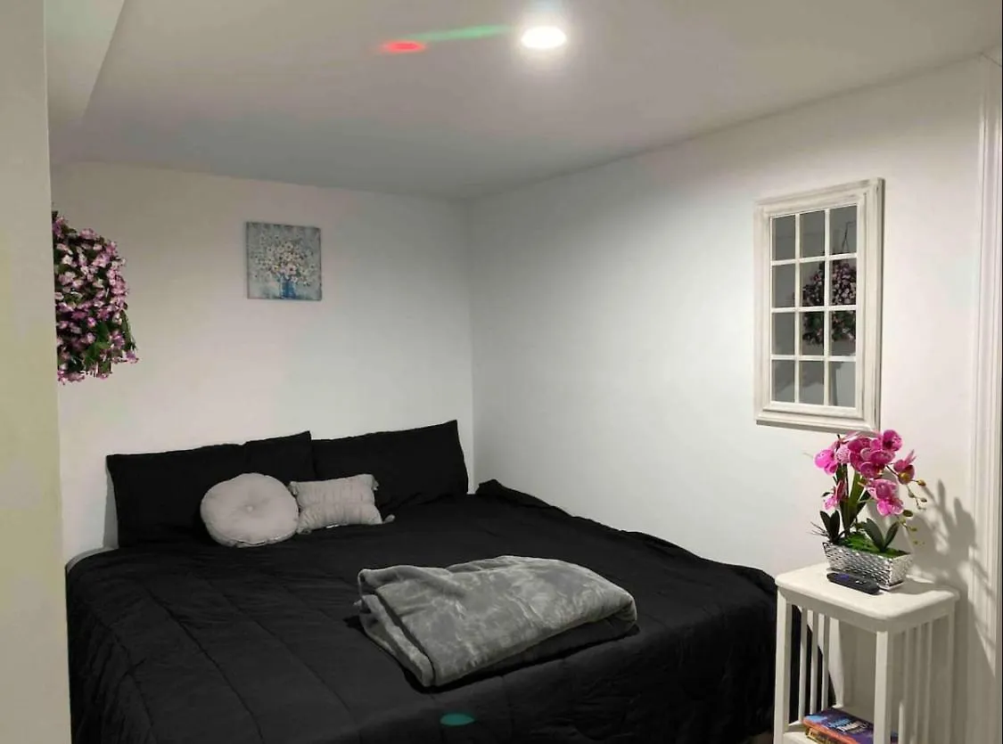 アパート 145 St Queens Near Jfk, Lga, & Citi Field, Free Parking In The Backyard 646-667-6696 ニューヨーク 米国